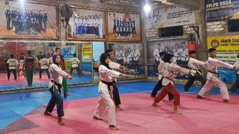 pencak silat