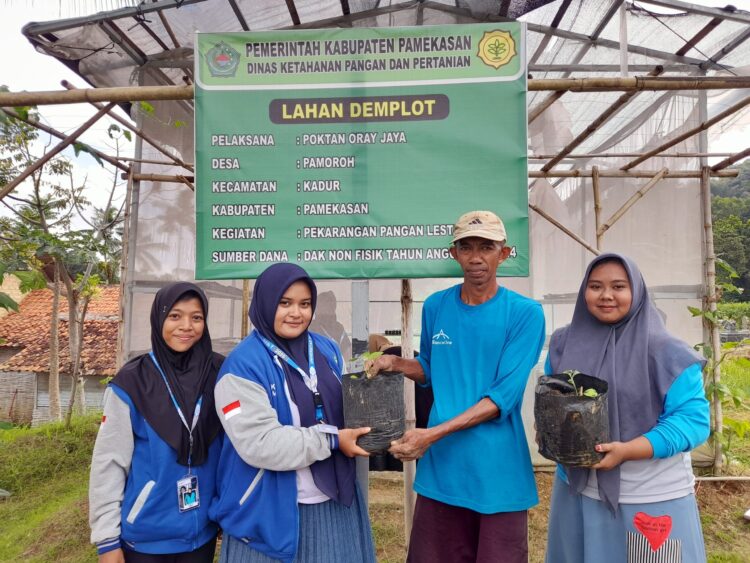 HIJAUKAN BUMI: Mahasiswa KKN-T UIM Pamekasan Posko 23 hijaukan Desa Pamoroh, Kadur, Pamekasan. (Safira Nur Laily/Kabar Madura)