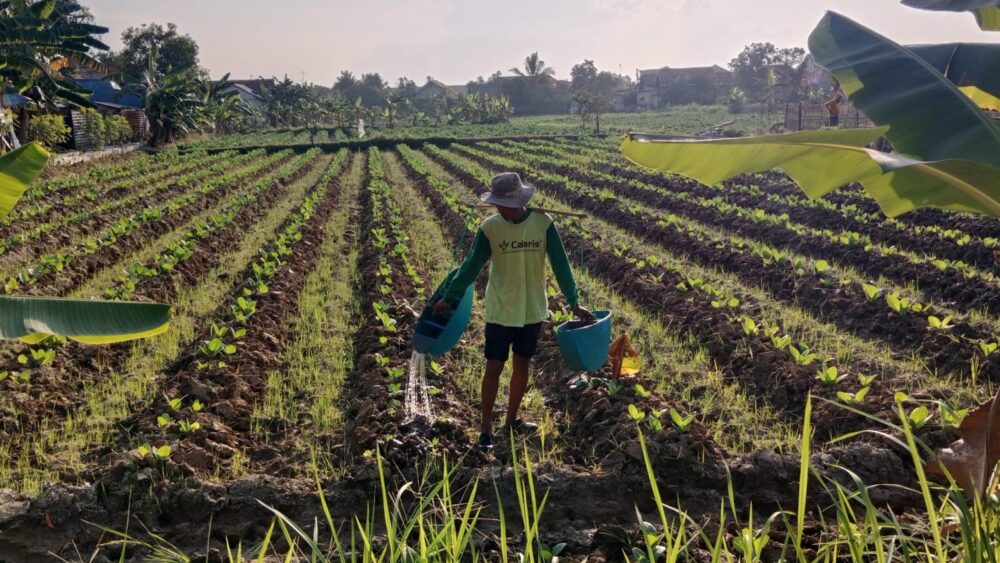 Pupuk nonsubsidi