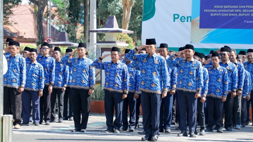 CPNS