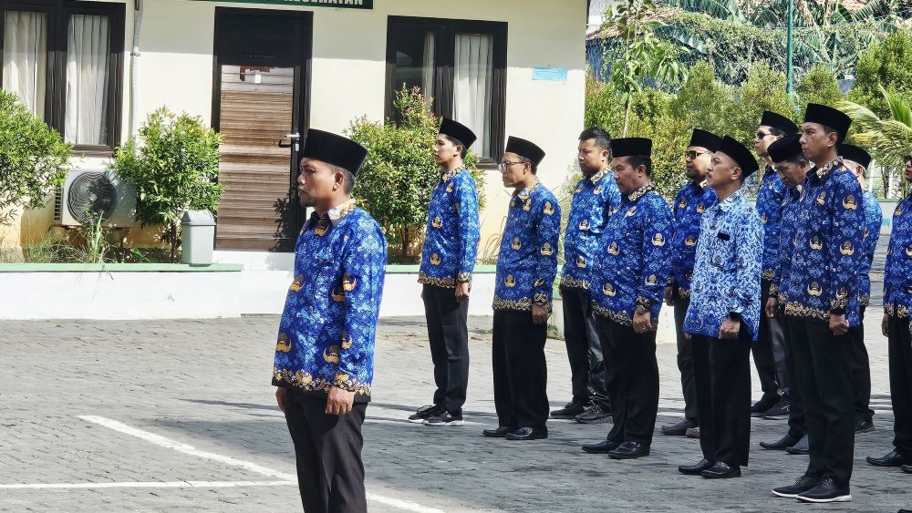 CPNS