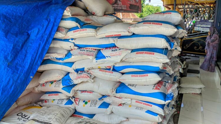 ANGIN SEGAR: DKPP Pamekasan menindaklanjuti HET pupuk bersubsidi yang turun 20 persen. (Khoyrul Umam Syarif/Kabar Madura)