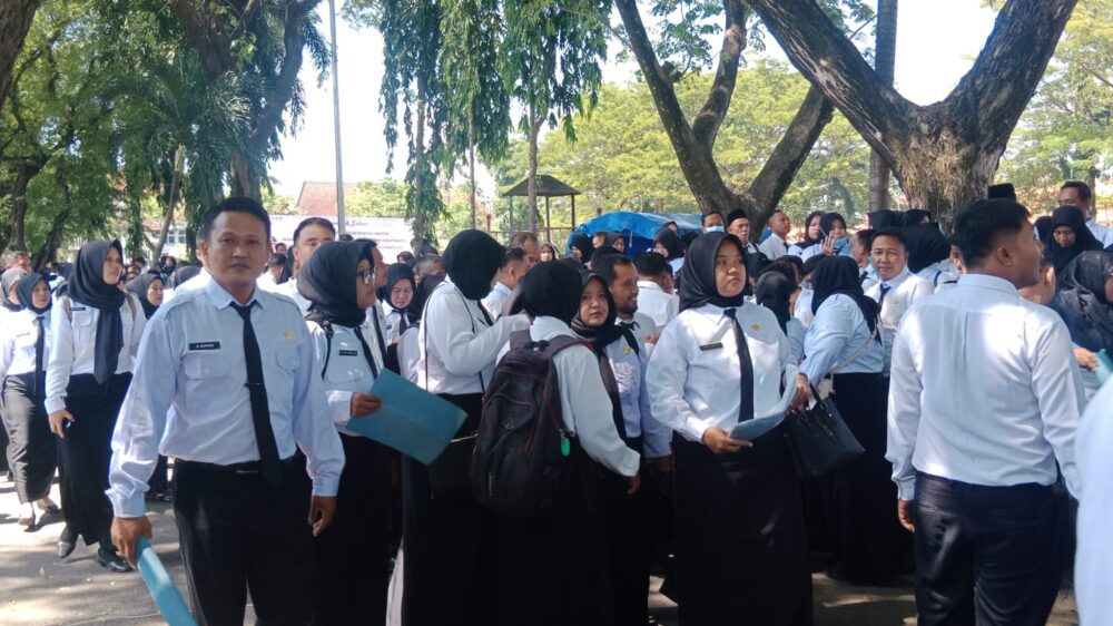 CPNS