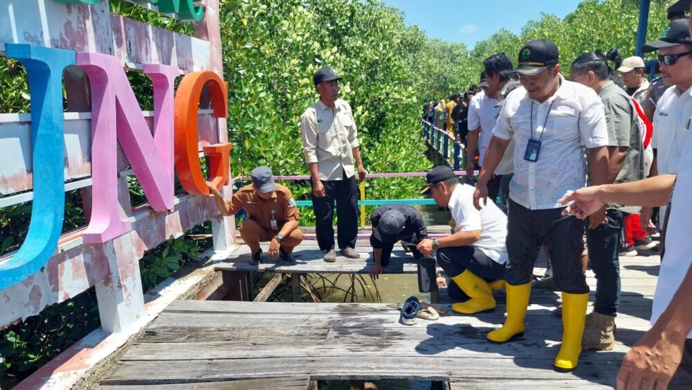 Mangrove