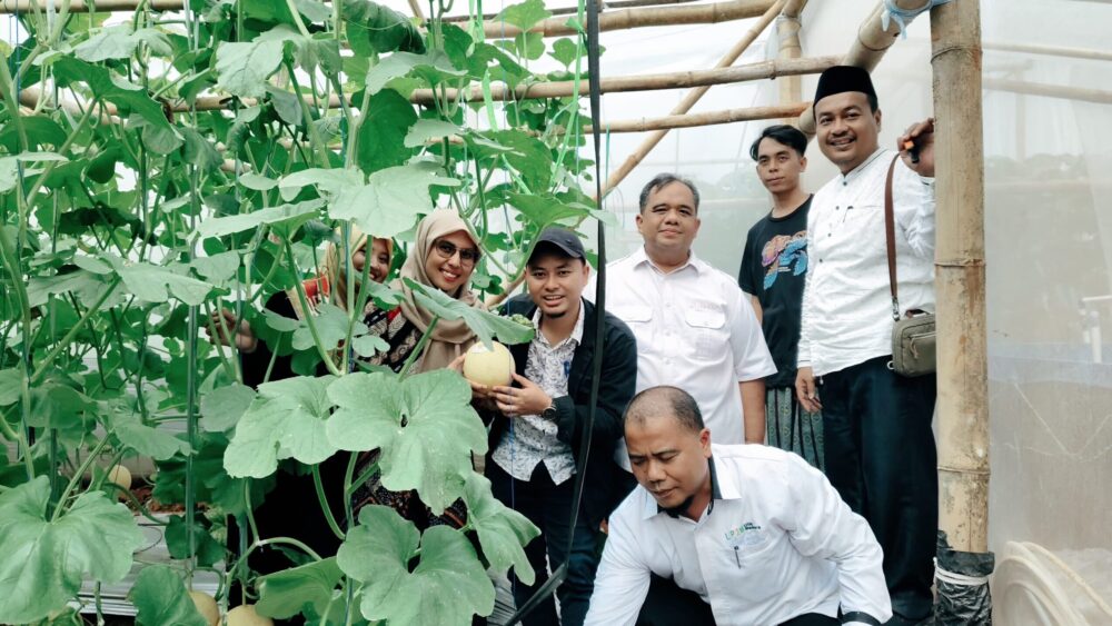 Green house